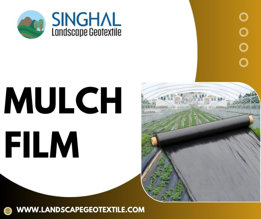 Mulch Film: Farming's Unsung Hero of the Modern Age