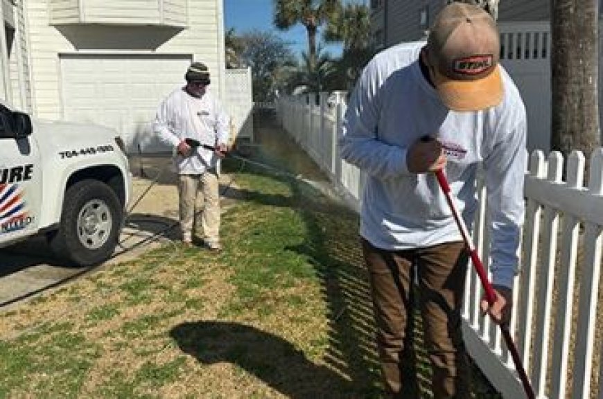 Refresh Your Property with Expert Exterior Cleaning in Pensacola