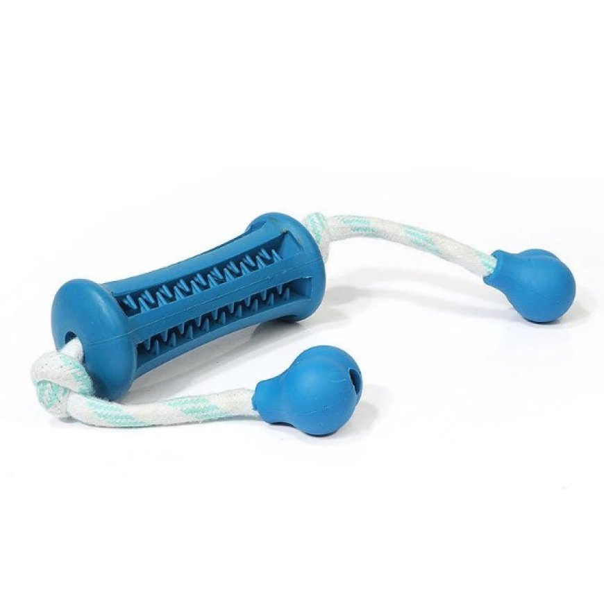 Discover the Best Chewing Toy for Dog – Unleash the Madness!