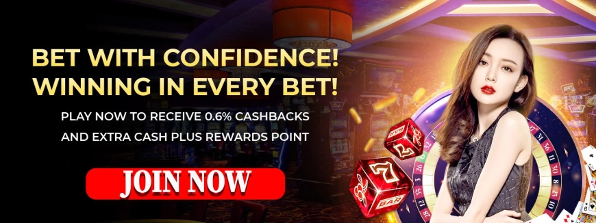 What Is a Ball by Ball ID in Cricket Data? A Beginner's Guide