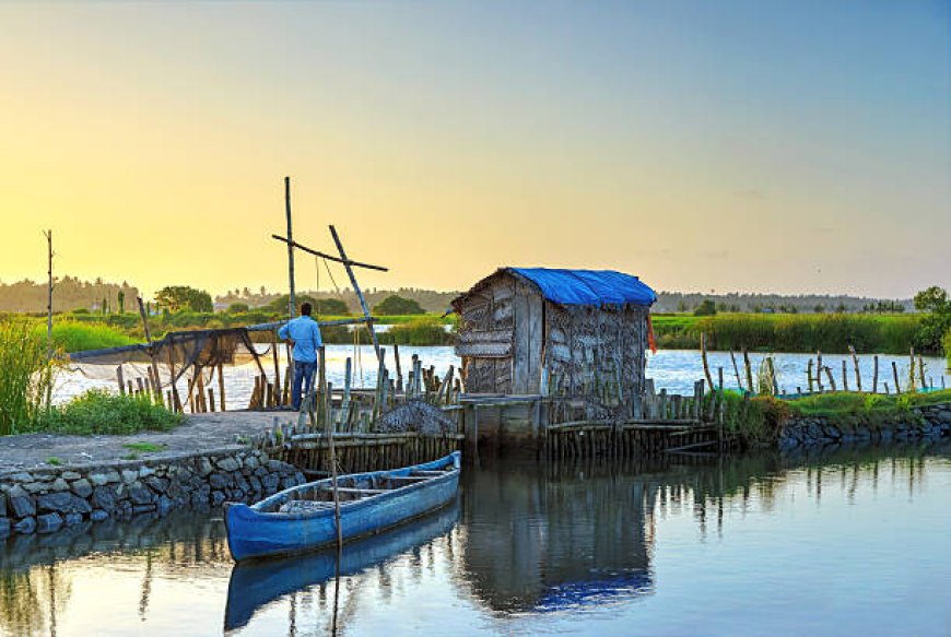 Kerala Tour Packages under 10000: Discover Bliss, Wallet-Friendly