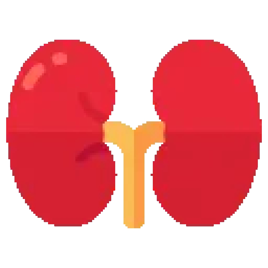 Kidney Transplant in Turkey: Costs, Hospitals, and What International Patients Should Know