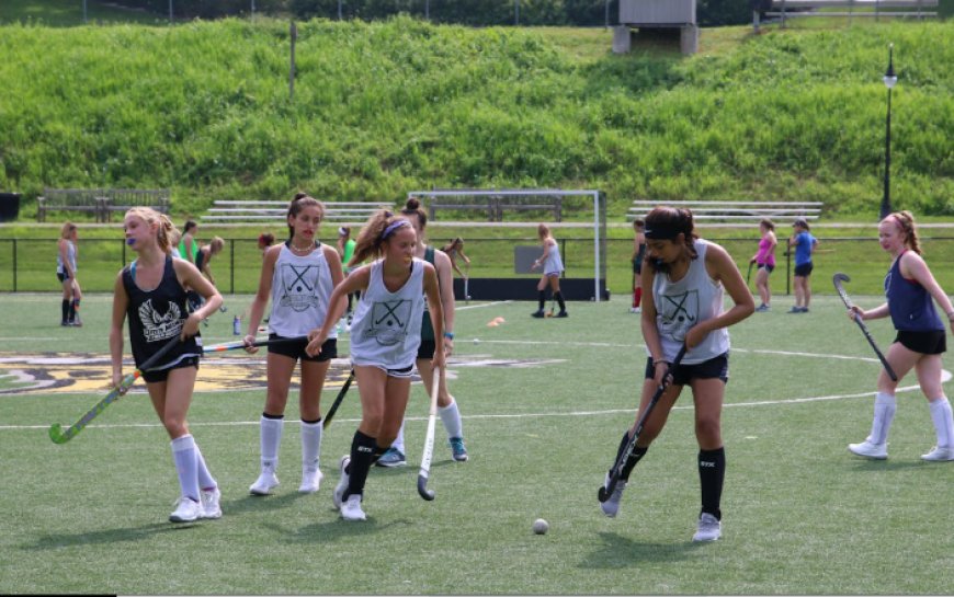 USA Sports Feed: Your Ultimate Destination for All Things Sports