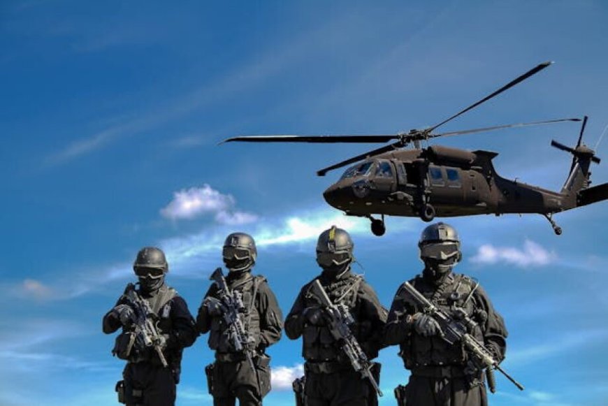 Defense IT Spending Market Share, Size, Trends, Growth Factors, and Forecast 2025-2033