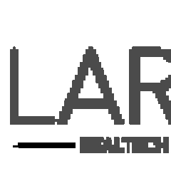 Larisarealtechofficial