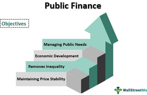 Public Financing Political Campaigns
